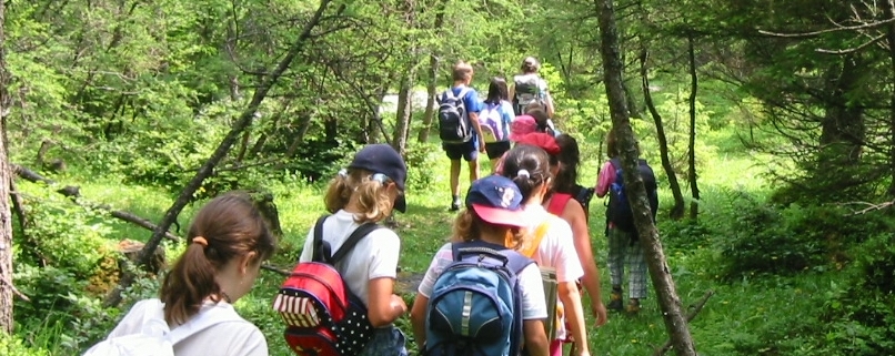 Schulklasse Naturkundeausflug