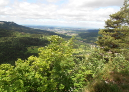 schwäbische Alb, Blick vom Gräbelesberg