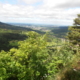 schwäbische Alb, Blick vom Gräbelesberg