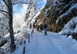 Schneeschuhwandern Vorderrheintal
