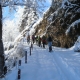 Schneeschuhwandern Vorderrheintal