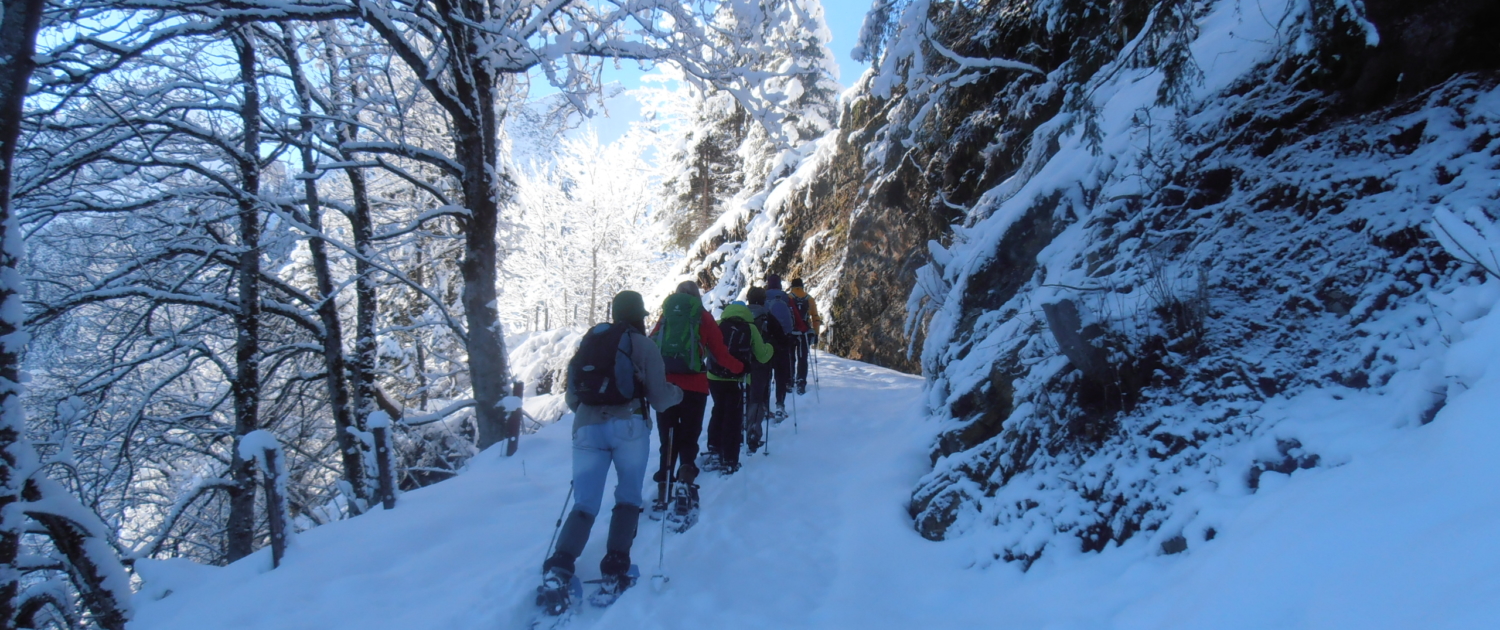 Winterlandschaft Wanderung