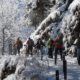 Schneeschuhwanderung Aufstieg