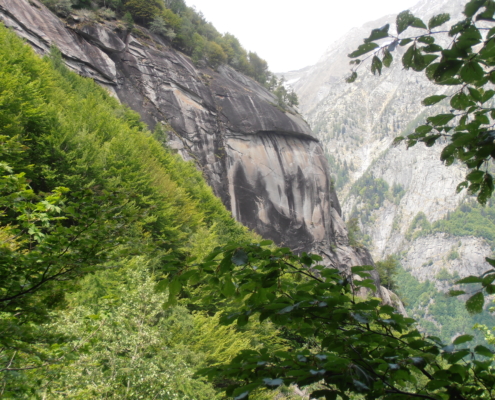 vom Gletscher abgehobelter Granitfelsen