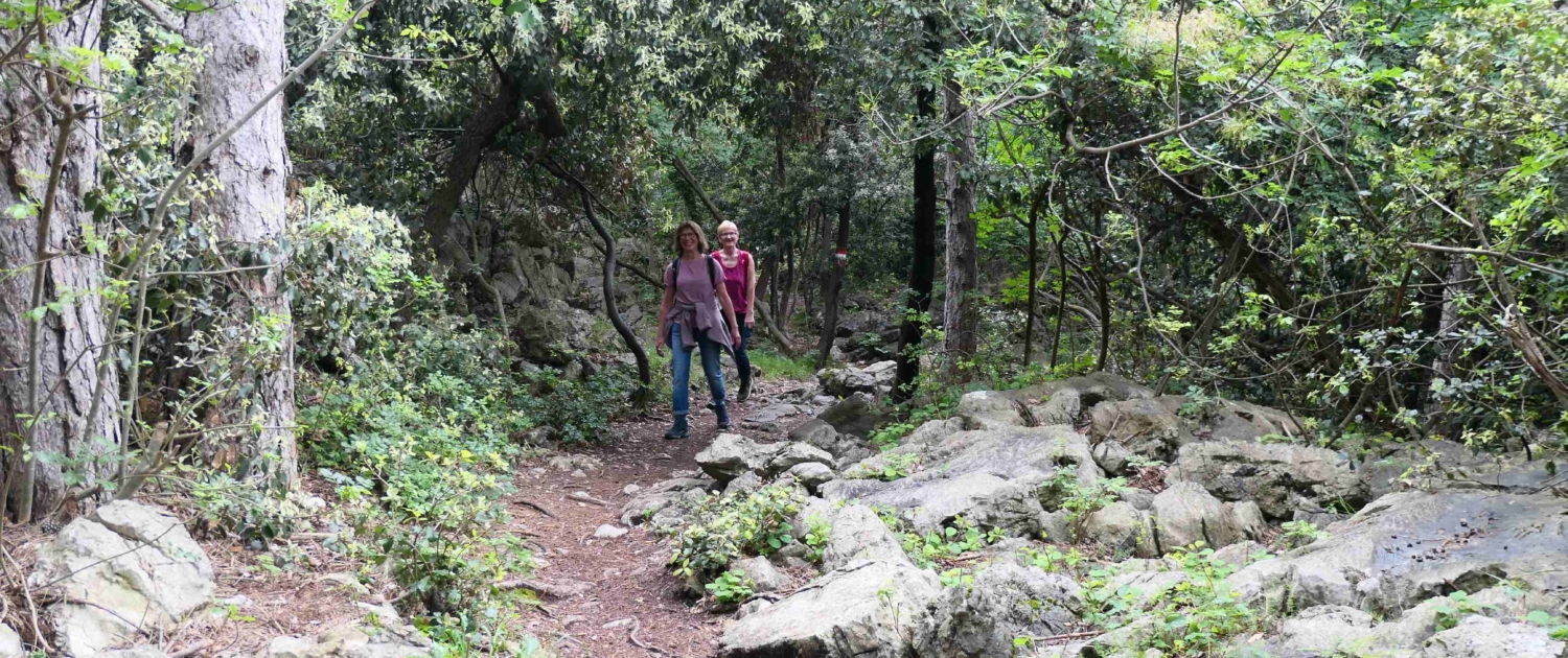 Wanderer im südlichen Bergwald