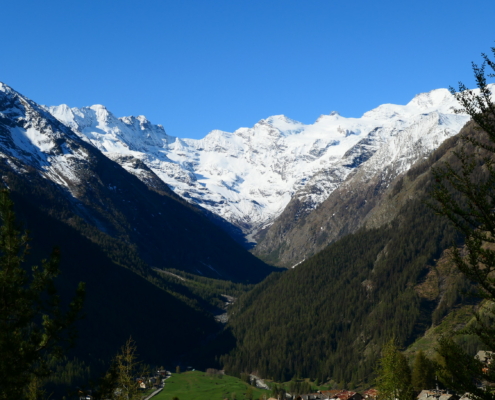 verschneite Westalpengipfel